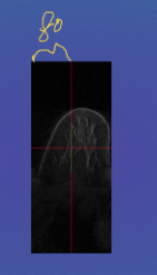 ../_images/Aspose.Words.19819821-06c3-4585-8590-fea343ac9b62.004.png