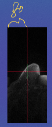 ../_images/Aspose.Words.19819821-06c3-4585-8590-fea343ac9b62.005.png