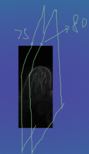 ../_images/Aspose.Words.c8e250d2-d3b1-4695-bbb1-2039471f26e8.002.png