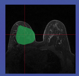 ../_images/Aspose.Words.c8e250d2-d3b1-4695-bbb1-2039471f26e8.003.png
